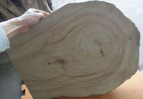 重庆木材加工厂香樟木