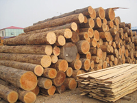 重庆木材加工厂